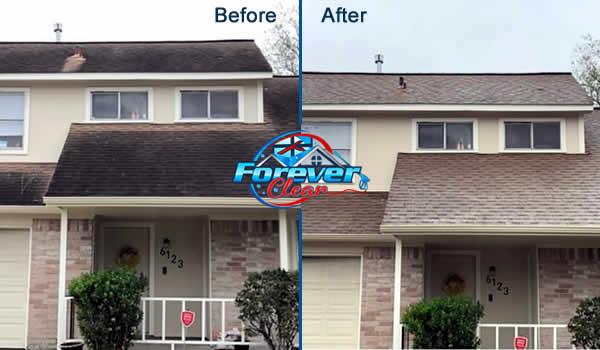 Roof Washing Services